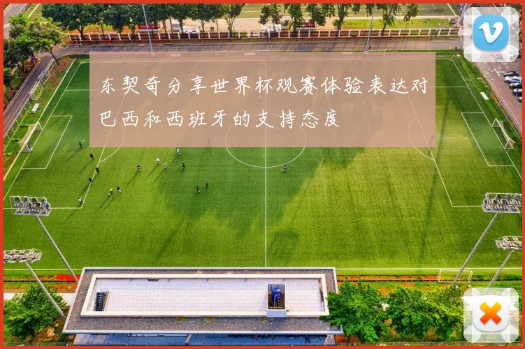 东契奇分享世界杯观赛体验表达对巴西和西班牙的支持态度