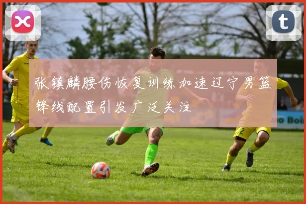 张镇麟腰伤恢复训练加速辽宁男篮锋线配置引发广泛关注