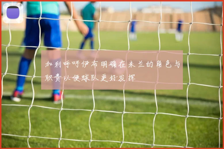加利呼吁伊布明确在米兰的角色与职责以便球队更好发挥